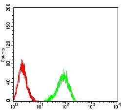 JAM2 Antibody (clone 6G1A11)