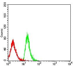 BCAM / CD239 Antibody (clone 8C4E6)