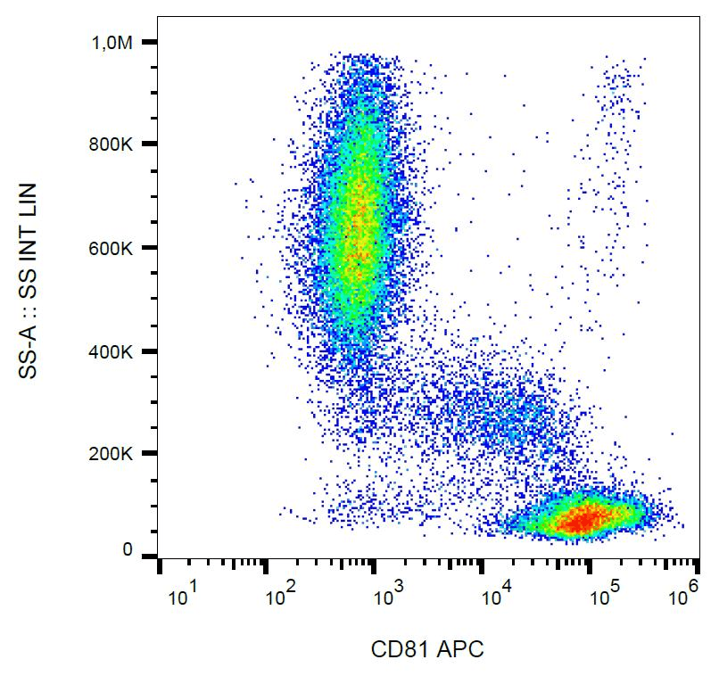 CD81 Antibody (clone M38, APC)