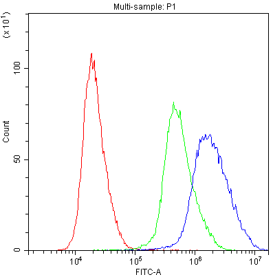 APOBEC3G / CEM15 Antibody