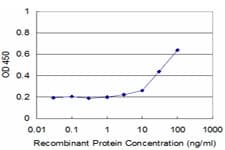 EIF4H Antibody (clone 4B2)
