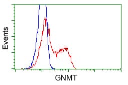 GNMT Antibody (clone OTI8A3, Carrier-free)