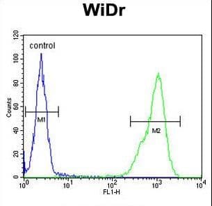TPPP3 Antibody (aa117-146)