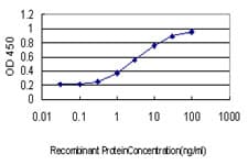 Monoclonal Mouse anti-Human CCL14 Antibody (clone 1F12, WB)