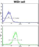 AADAC Antibody (aa273-300)