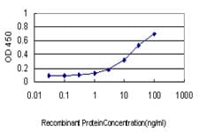 IHC-plus™ CREG / CREG1 Antibody (clone 1B7)