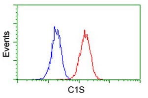 IHC-plus™ Complement C1s Antibody (clone 2D11)