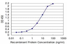 TCEA3 Antibody (clone 4E11)