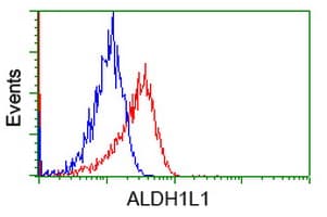 ALDH1L1 Antibody (clone OTI7G6)