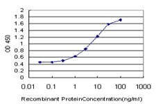 GNAI2 Antibody (clone 3G11)