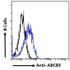 ABCB5 Antibody (aa905-916)