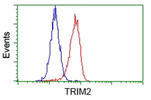 Monoclonal Mouse anti-Human KIAA0517 / TRIM2 Antibody (clone OTI2B10, WB)
