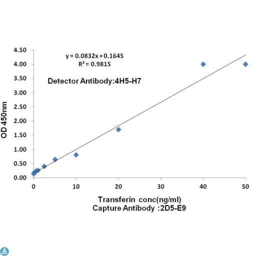 TF / Transferrin Antibody