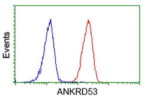Monoclonal Mouse anti-Human ANKRD53 Antibody (clone OTI2F3, IF, WB)