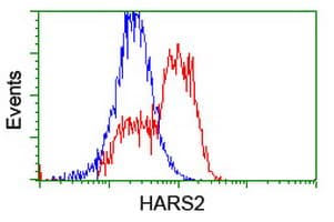 HARS2 Antibody (clone OTI5H2)