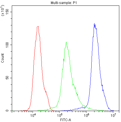 NALP3 / NLRP3 Antibody (aa12-31)
