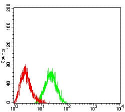CCR7 Antibody (clone 7A5A9)