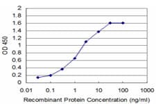 DHFR Antibody (clone 2B10)