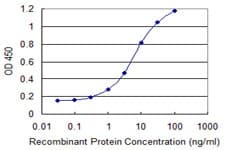 Monoclonal Mouse anti-Human ZNF154 Antibody (clone 6G11, WB)