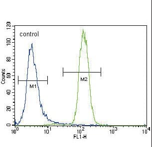 UGT2B15 Antibody (aa156-185)