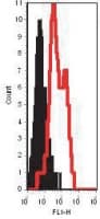 Tlr12 Antibody (aa700-800)