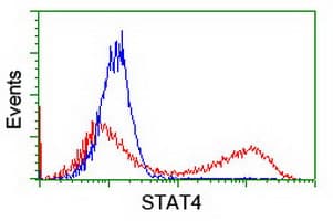STAT4 Antibody (clone OTI1B1)