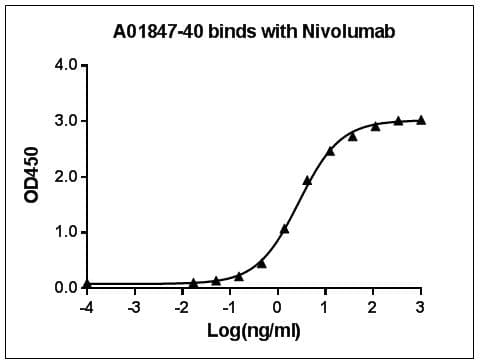 Monoclonal Mouse Nivolumab Antibody (clone 8G6G3D8)