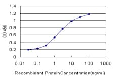 Monoclonal Mouse anti-Human MTF-1 Antibody (clone 2E5, WB)