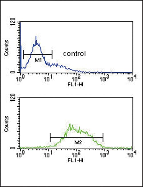 LCAT Antibody (aa285-313)