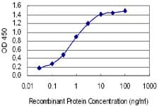 HTR2B / 5-HT2B Receptor Antibody (clone 4A4)