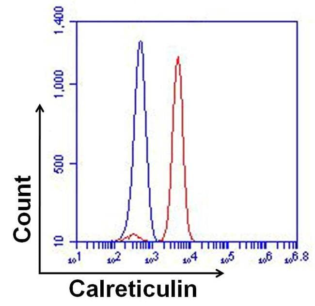Monoclonal Mouse anti-Human CALR / Calreticulin Antibody (clone 1G6A7, EEEDVPGQAKDELC, IHC, IF, WB)