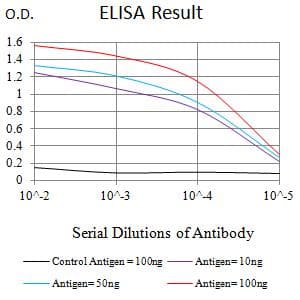 EVI2B Antibody (clone 8F3D1)