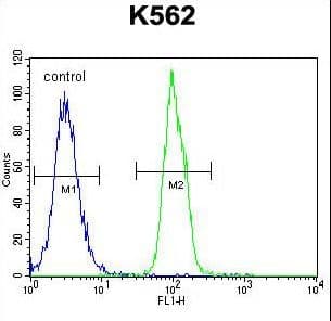 SFRP4 Antibody (aa318-346)