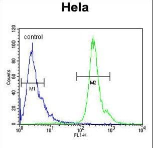 PNPLA8 Antibody (aa212-240)