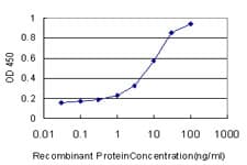 CCK4 / PTK7 Antibody (clone 4C6)