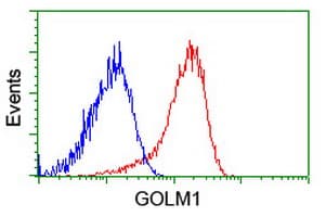 GOLM1 / GP73 / GOLPH2 Antibody (clone OTI2D6)