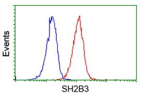 SH2B3 / LNK Antibody (clone OTI2C9)