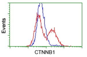 CTNNB1 / Beta Catenin Antibody (clone OTI1E10, Carrier-free)