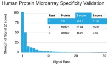 Ferritin Antibody (clone FTL/1386, Azide-free, BSA-free)