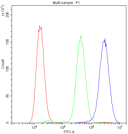 PPID / Cyclophilin D Antibody