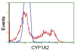 CYP1A2 Antibody (clone OTI1E12)