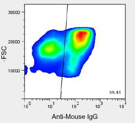 Pancreas Marker HPx1 Antibody (clone HIC0-3B3, Biotin)