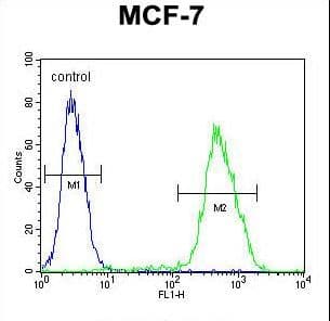 LMO4 Antibody (aa104-131)