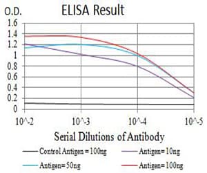 Monoclonal Mouse anti-Human ALK2 / ACVR1 Antibody (clone 2E2C11, IHC, WB)