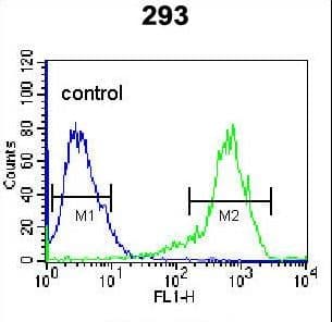 KARS Antibody (aa70-98)