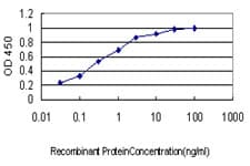 IHC-plus™ Monoclonal Mouse anti-Human EWSR1 / EWS Antibody (clone 5C10, IHC, WB)