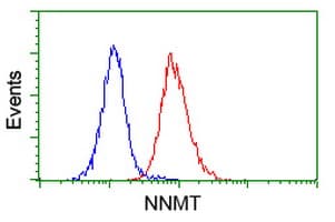 IHC-plus™ NNMT Antibody (clone 2A3)