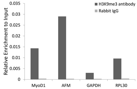 Histone H3 Antibody (Tri-Methyl-Lys9)