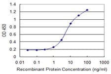 AREG / Amphiregulin Antibody (clone 3E4)