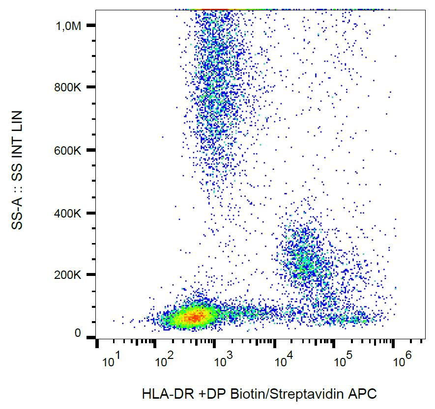 HLA-DP/DR Antibody (clone MEM-136, Biotin)